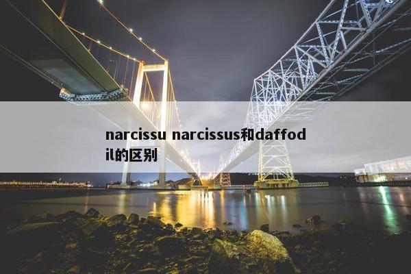 narcissu narcissus和daffodil的区别
