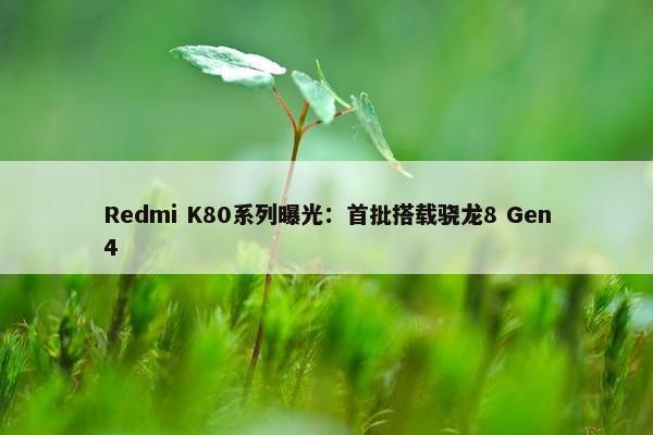 Redmi K80系列曝光：首批搭载骁龙8 Gen4