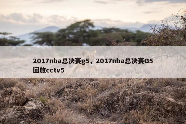 2017nba总决赛g5，2017nba总决赛G5回放cctv5