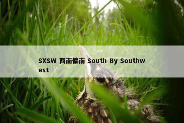 SXSW 西南偏南 South By Southwest
